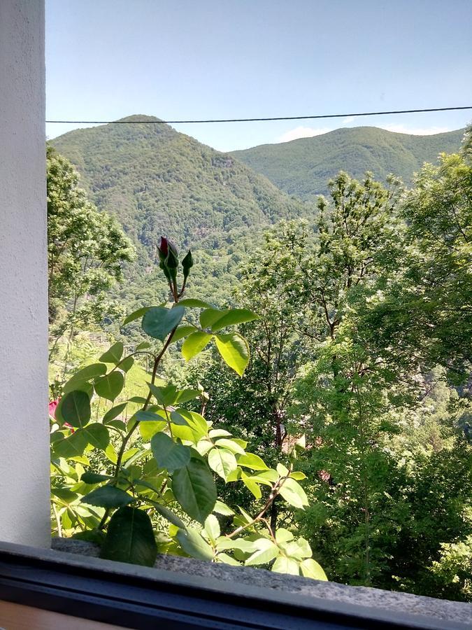 Villa Rustico "Casa Di Sasso" à Intragna Extérieur photo